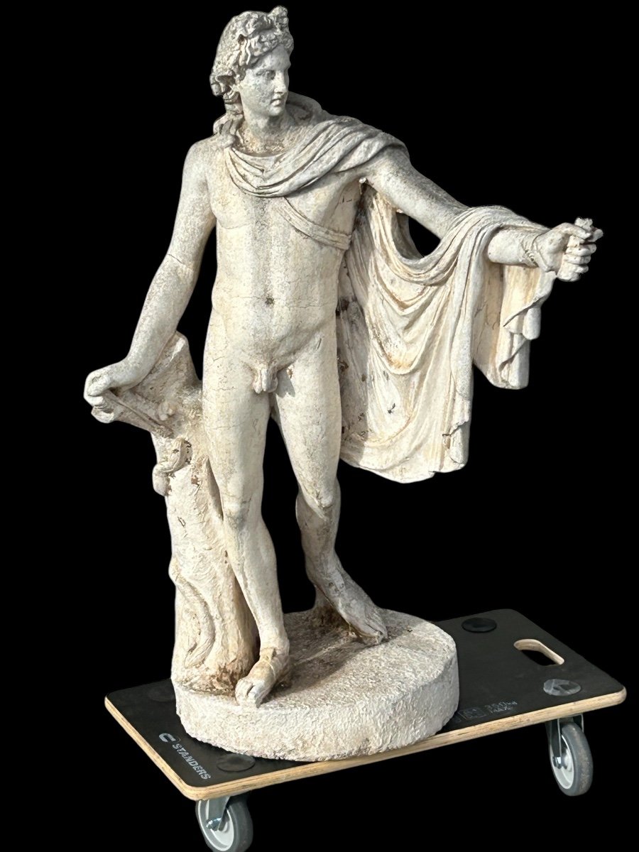 Apollo Belvedere - Reconstituted Stone Statue, 19th Century -photo-2