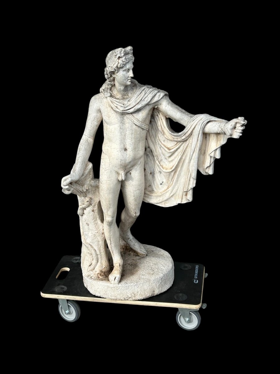 Apollo Belvedere - Reconstituted Stone Statue, 19th Century -photo-3