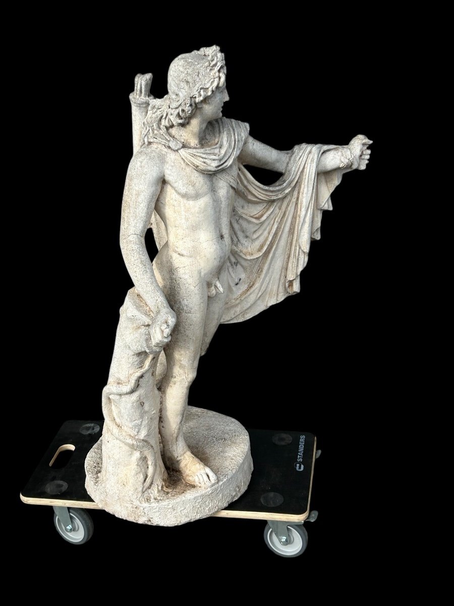 Apollo Belvedere - Reconstituted Stone Statue, 19th Century -photo-4