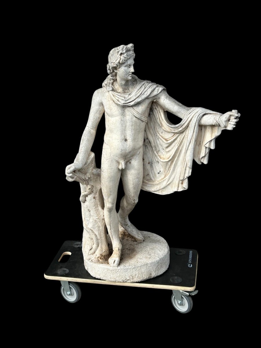 Apollo Belvedere - Reconstituted Stone Statue, 19th Century -photo-6