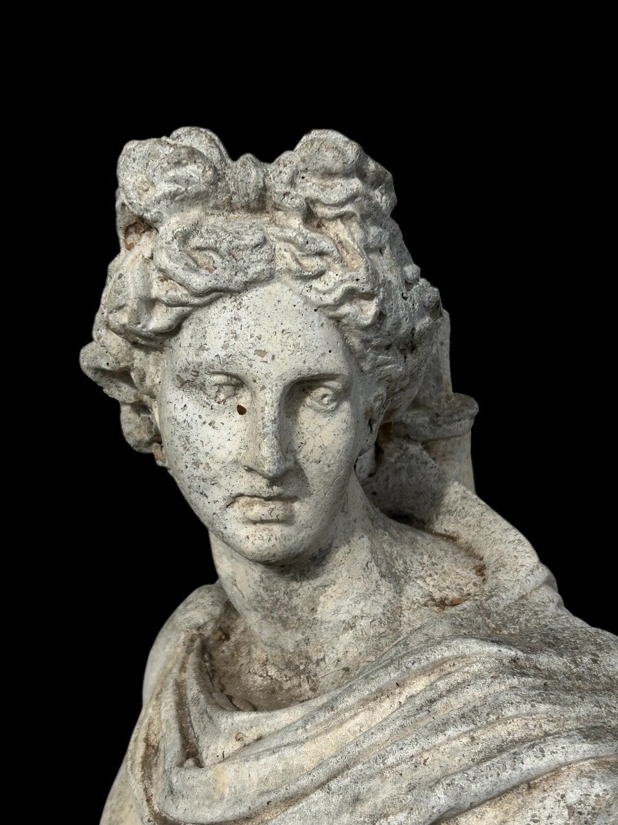 Apollo Belvedere - Reconstituted Stone Statue, 19th Century -photo-8