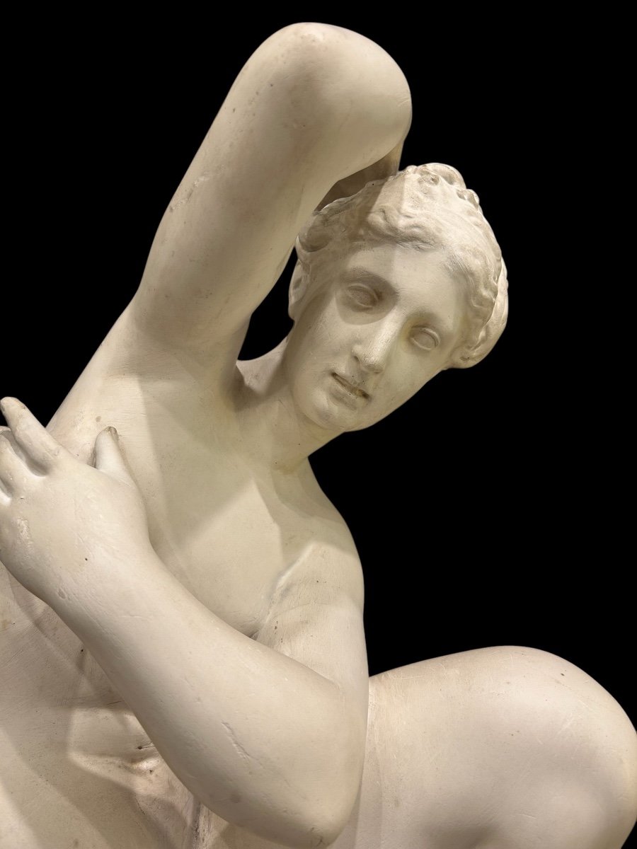 Aphrodite Or Crouching Venus - Plaster Sculpture Cast From The Louvre Circa 1900 H 78 Cm -photo-2