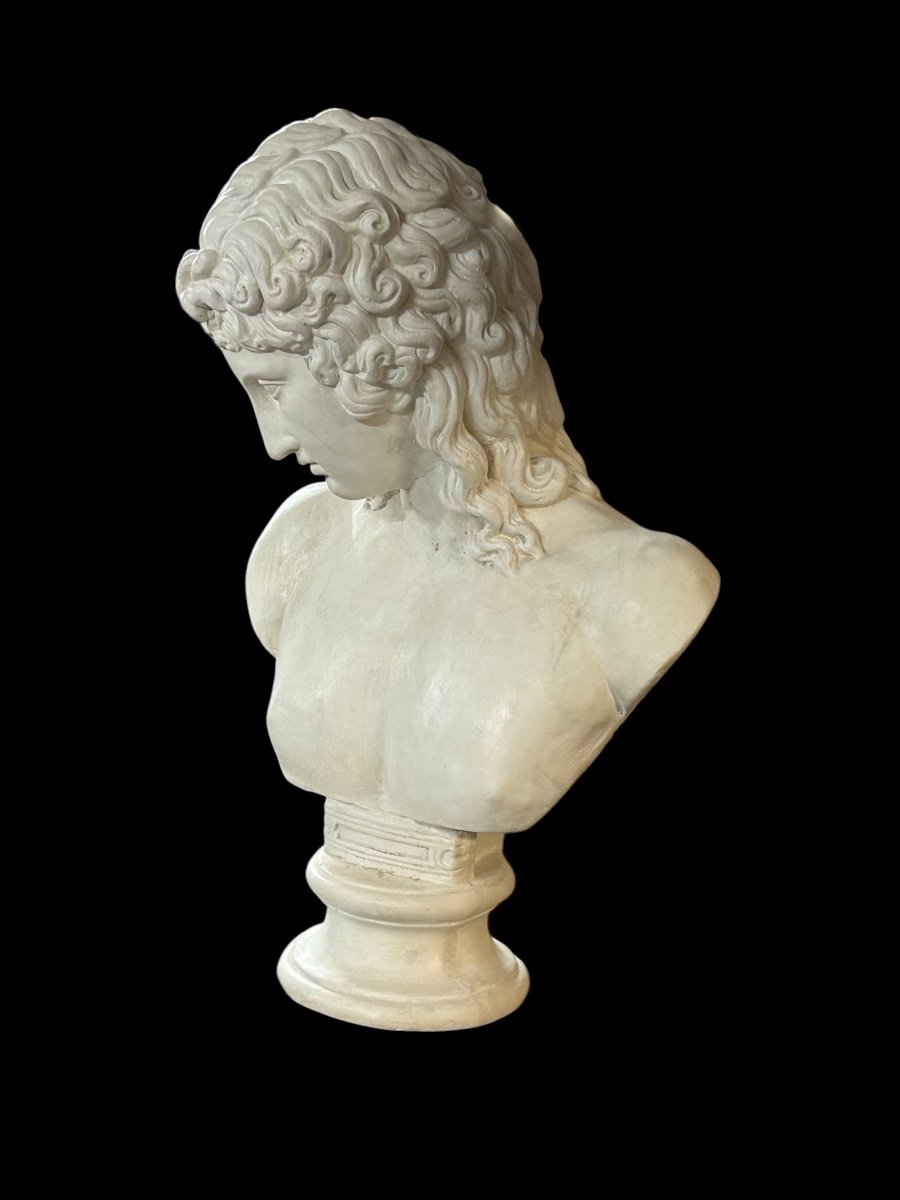 Buste En Plâtre éros De Centocelle Ou Amour De Praxitèle époque XXéme Siècle H 62 Cm-photo-3