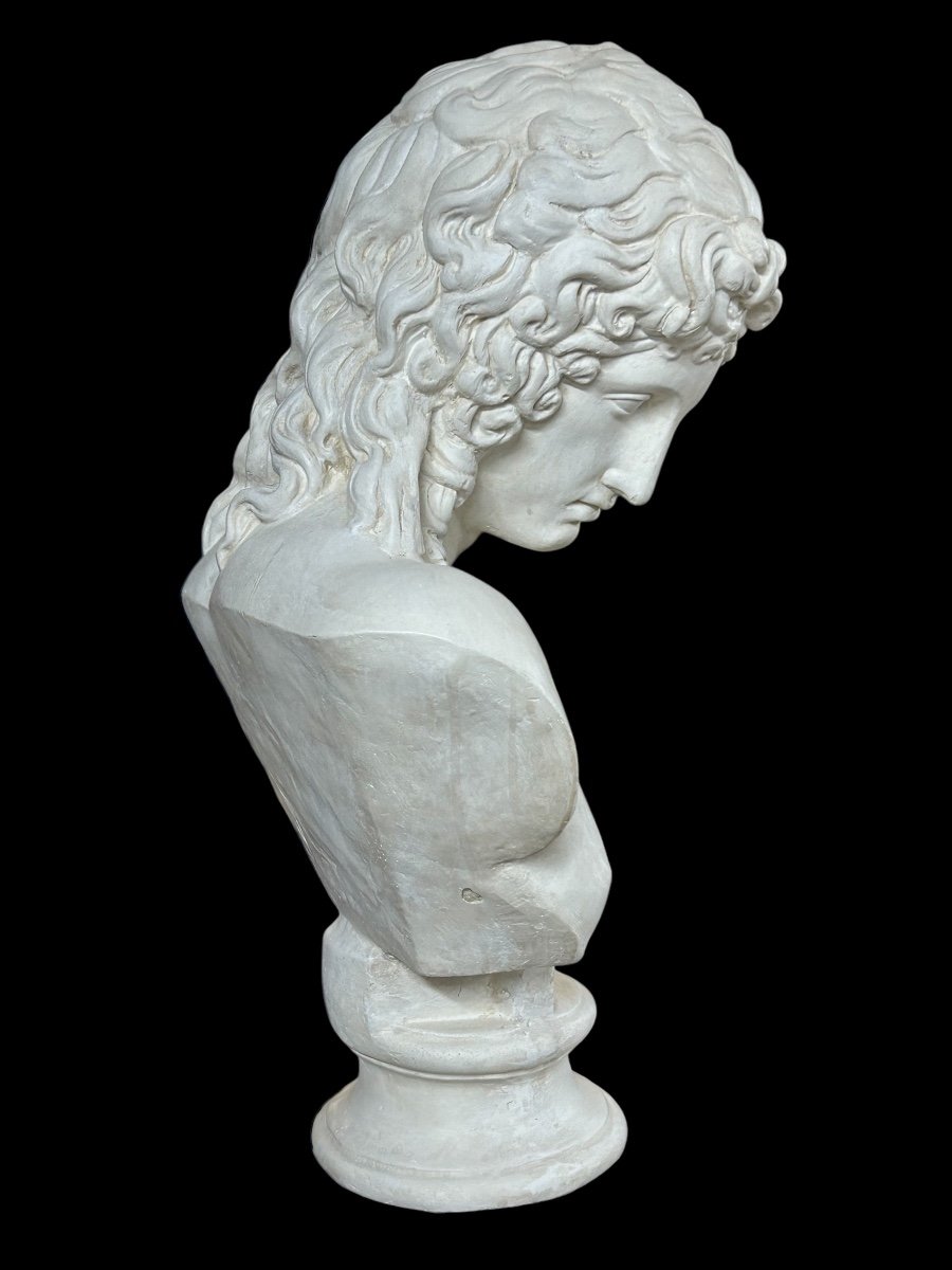 Plaster Bust Eros By Centocelle Or Love By Praxiteles Period 20th Century H 62 Cm-photo-1