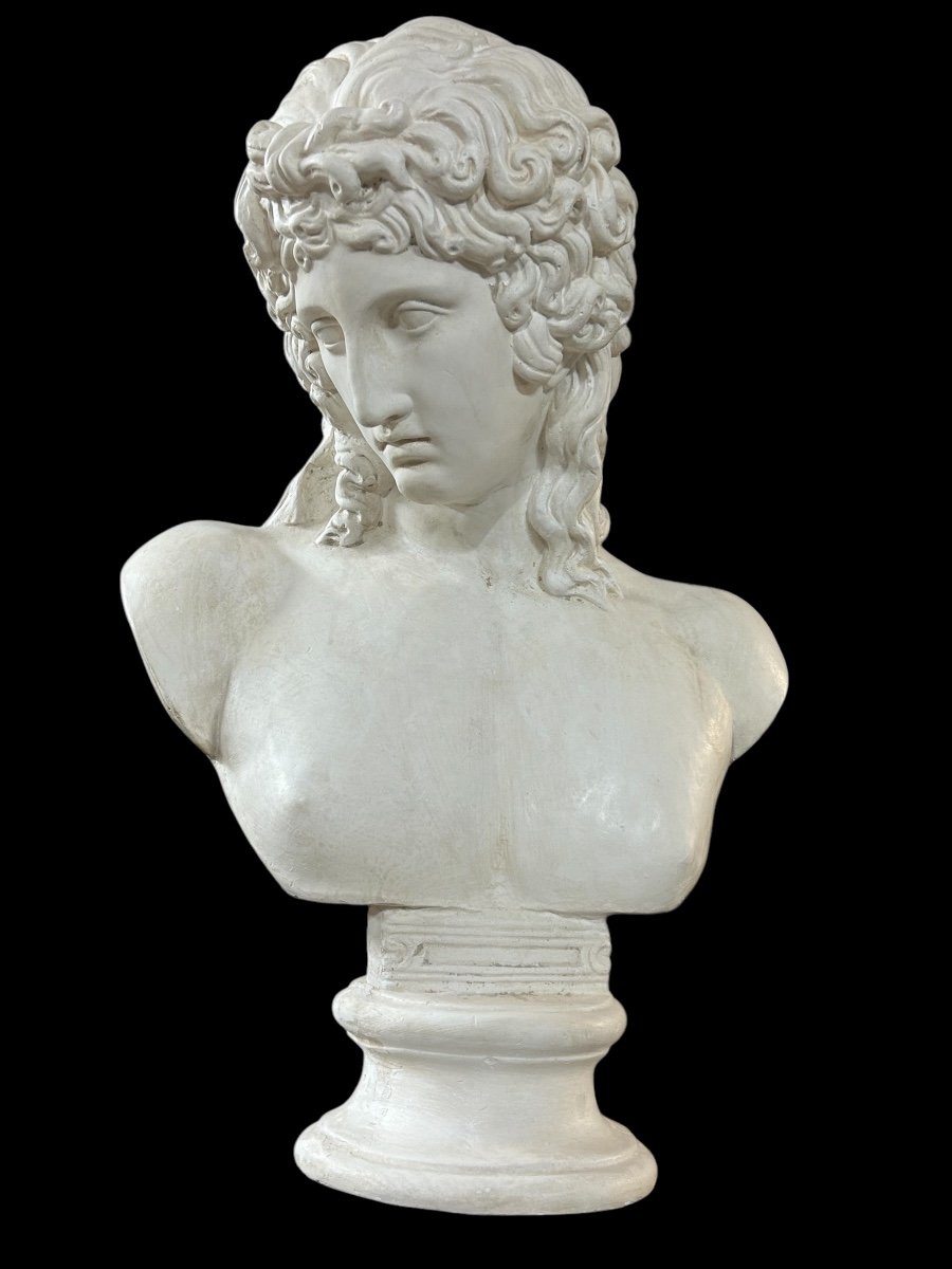 Plaster Bust Eros By Centocelle Or Love By Praxiteles Period 20th Century H 62 Cm-photo-5