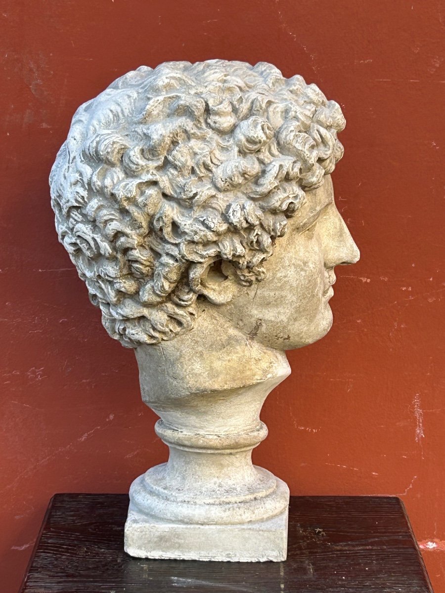 Antinus Bust - Grand Tour - Plaster Cast Late 19th Century - Antique - Roman -photo-3