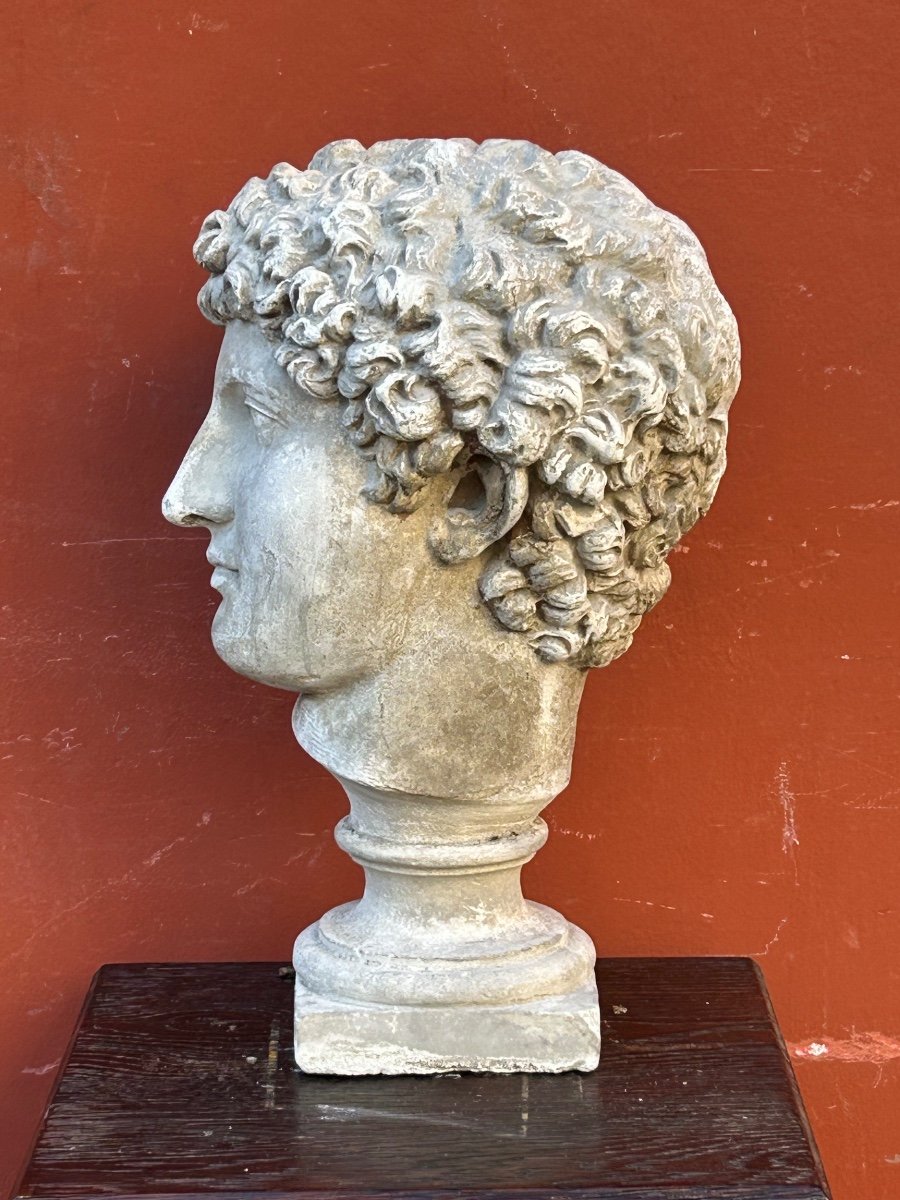 Antinus Bust - Grand Tour - Plaster Cast Late 19th Century - Antique - Roman -photo-1