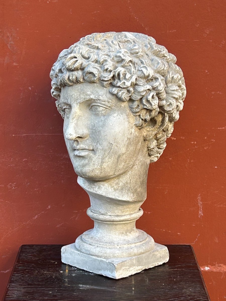 Antinus Bust - Grand Tour - Plaster Cast Late 19th Century - Antique - Roman -photo-2