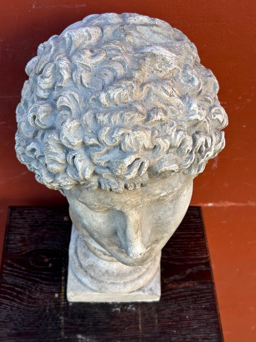 Antinus Bust - Grand Tour - Plaster Cast Late 19th Century - Antique - Roman -photo-5