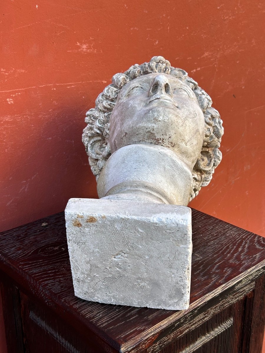 Antinus Bust - Grand Tour - Plaster Cast Late 19th Century - Antique - Roman -photo-6