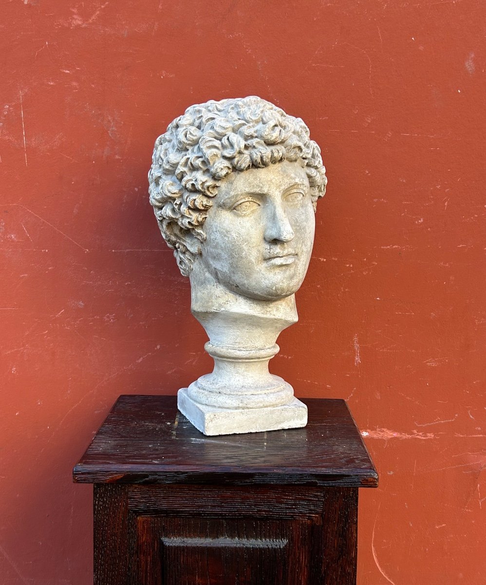 Antinus Bust - Grand Tour - Plaster Cast Late 19th Century - Antique - Roman -photo-7