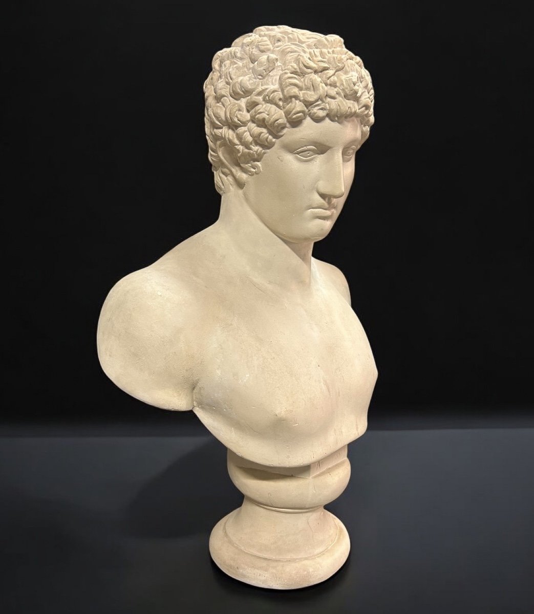 Grand Buste D’après L’antique Hermès Dit « antinous Albani « plâtre XXéme Siècle H 70 cm-photo-2