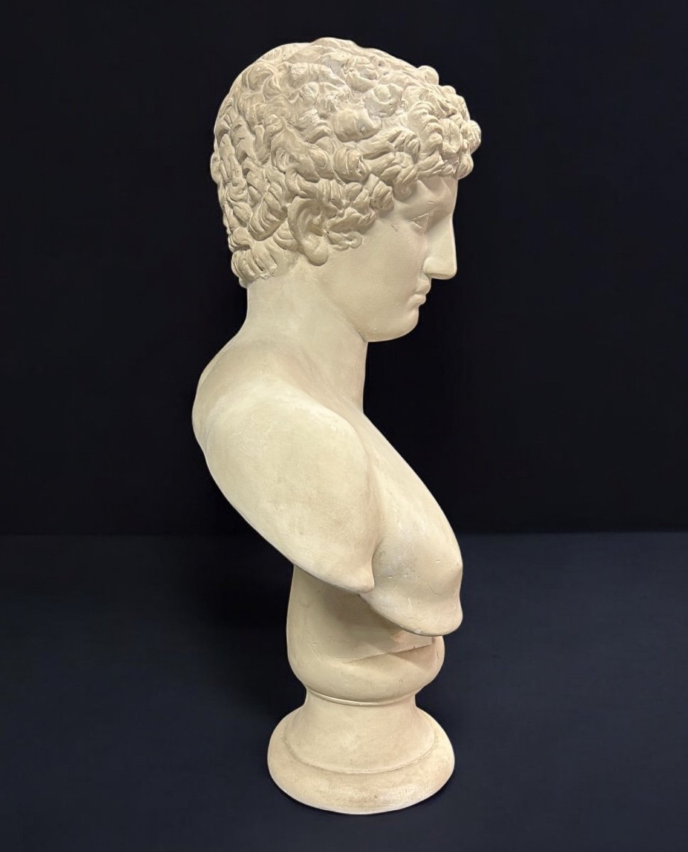 Grand Buste D’après L’antique Hermès Dit « antinous Albani « plâtre XXéme Siècle H 70 cm-photo-3