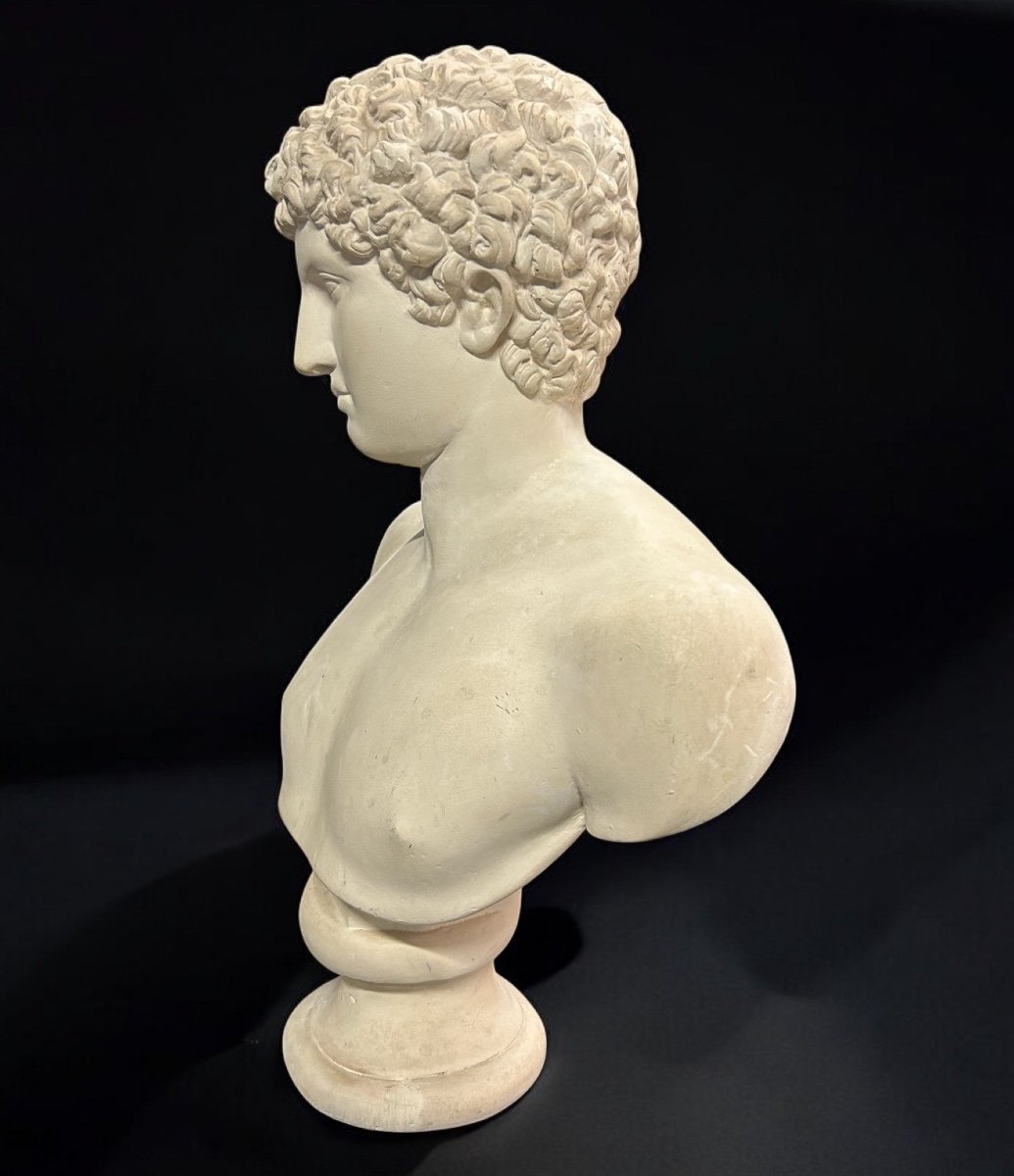 Grand Buste D’après L’antique Hermès Dit « antinous Albani « plâtre XXéme Siècle H 70 cm-photo-2