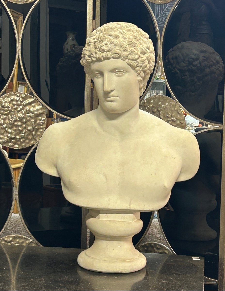 Grand Buste D’après L’antique Hermès Dit « antinous Albani « plâtre XXéme Siècle H 70 cm-photo-8