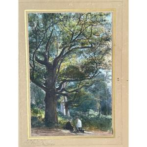 Armand Théophile Cassagne (1823-1907) Aquarelle Vue De La Forêt De Fontainebleau 1866 