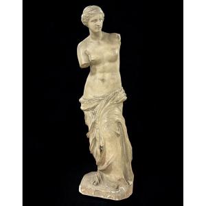 Vénus De Milo Grande Sculpture Moulage En Plâtre D’époque XIXéme H 86 Cm