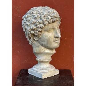 Antinus Bust - Grand Tour - Plaster Cast Late 19th Century - Antique - Roman 