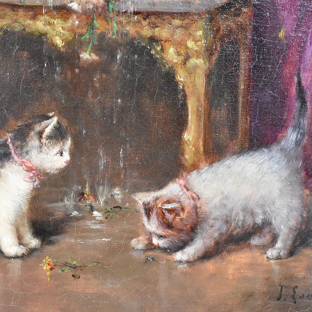 Cats Portrait Painting, Portraits Of Cats, Oil Painting On Canvas, 19th Century. (qa503)-photo-4