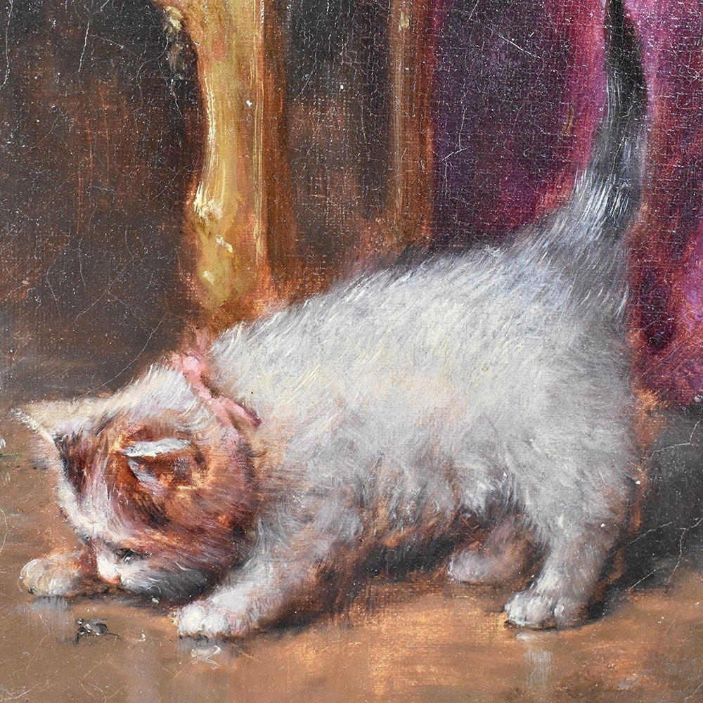 Cats Portrait Painting, Portraits Of Cats, Oil Painting On Canvas, 19th Century. (qa503)-photo-1