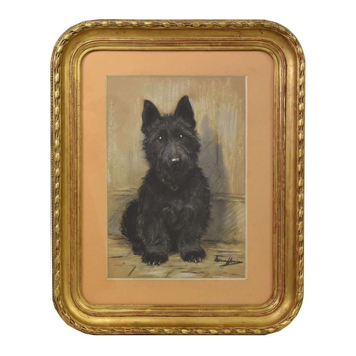 Dogs Portrait Painting, Pastel On Paper, Black Spaniel, 20th Century. (qa526)