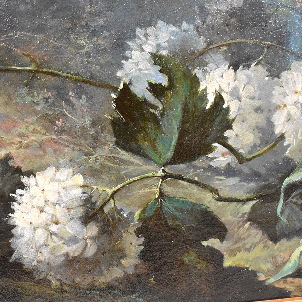 Antique Flower Painting, Dahlias, Roses And Hydrangeas Flowers, Oil On Canvas,  XIX. (qf557)-photo-2