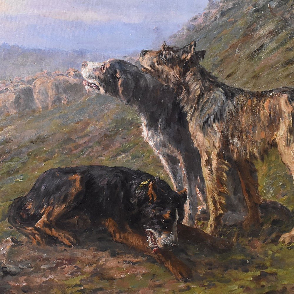 Dogs Portrait Painting, Shepherd Dogs, Oil Painting On Canvas, Early 20th Century. (qa585)-photo-3