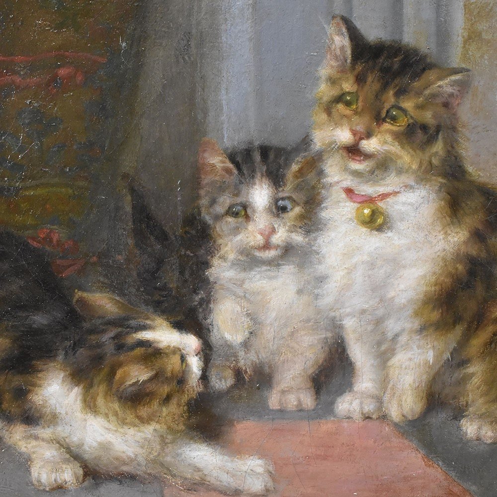 Tableau Ancien, Daniel Merlin, Portraits De Chats, Petits Chatons, XIXè Siècle. (QA624)-photo-1