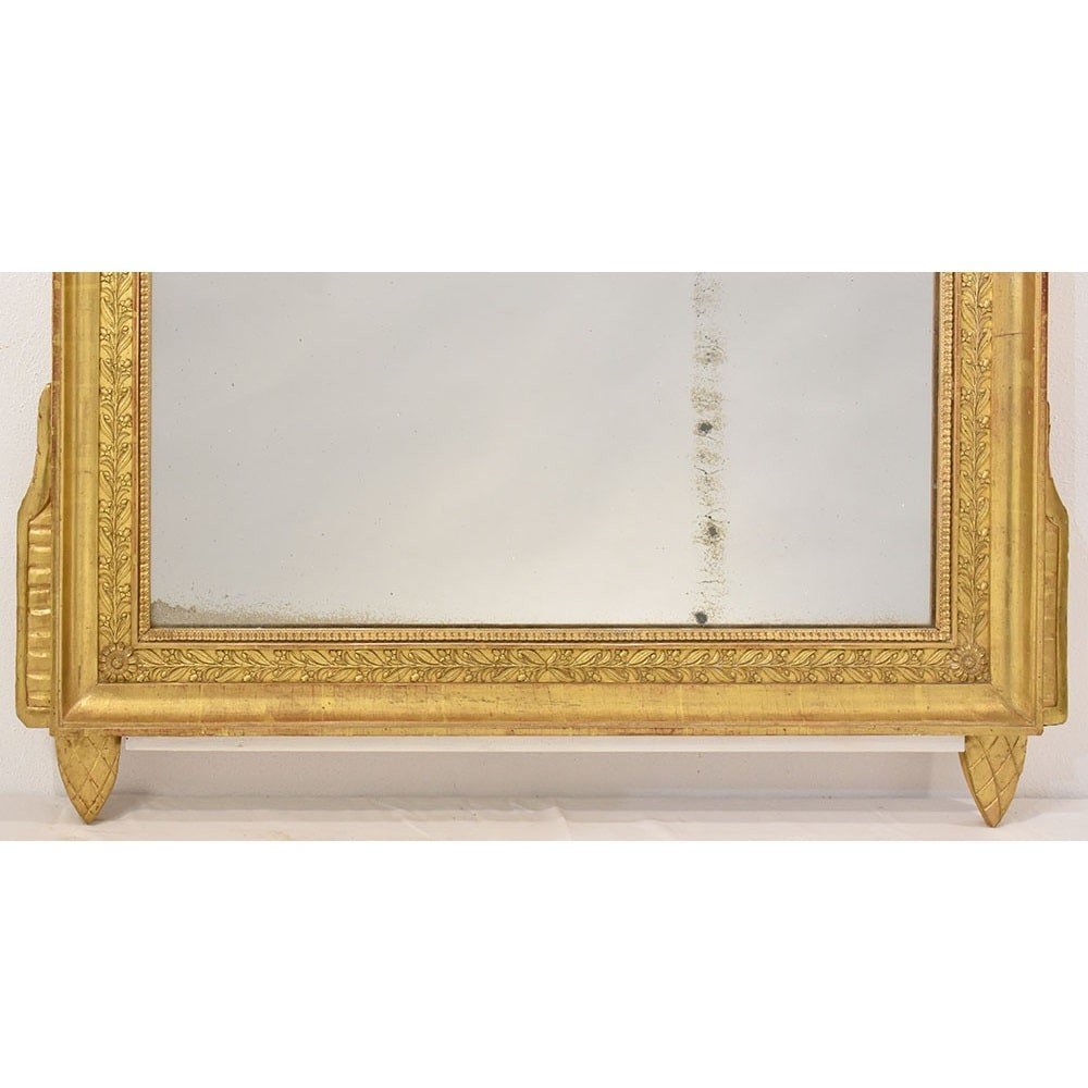 Antique Gold Leaf Mirror, Rectangular Wall Mirror Avec Birds And Flowers, XVIII . (spc186)-photo-4