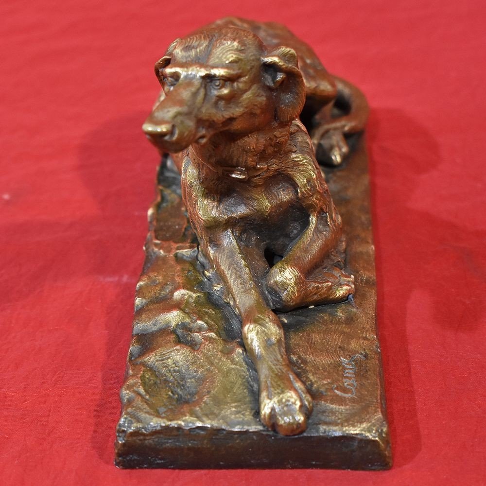 Antique Bronze Sculpture, Art Deco, Little Greyhound Dog, 20th Century. (stb49)-photo-3