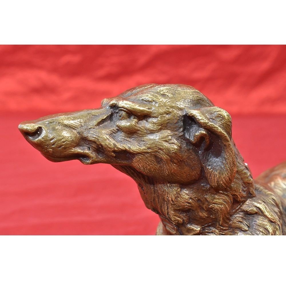 Antique Bronze Sculpture, Art Deco, Little Greyhound Dog, 20th Century. (stb49)-photo-2