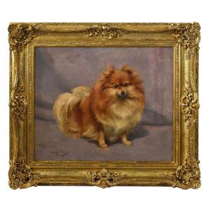 Dogs Portrait Painting, Oil On Canvas, Pomeranian Breed Dog, 20th Century. (qa587)