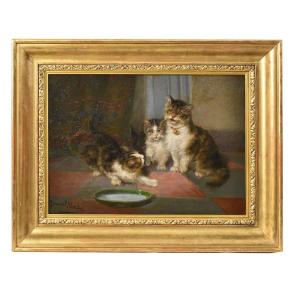 Tableau Ancien, Daniel Merlin, Portraits De Chats, Petits Chatons, XIXè Siècle. (QA624)