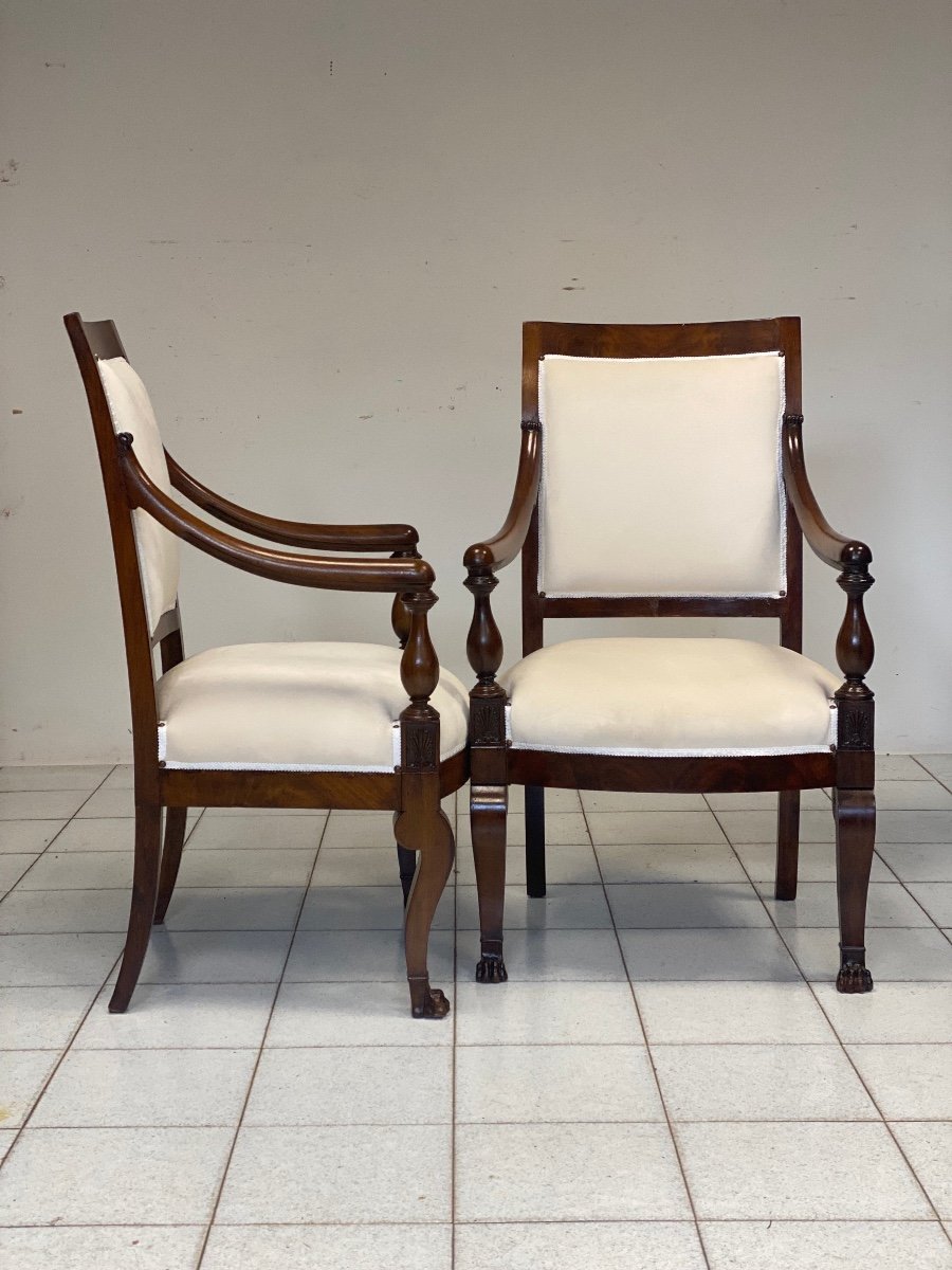 Pair Of Empire Armchairs In Rosewood. Genoa 19th Century.-photo-3