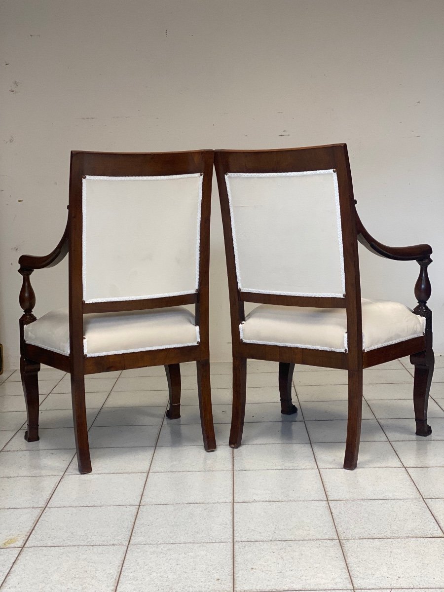 Pair Of Empire Armchairs In Rosewood. Genoa 19th Century.-photo-4