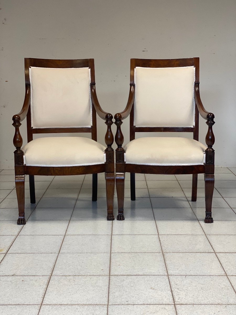 Pair Of Empire Armchairs In Rosewood. Genoa 19th Century.