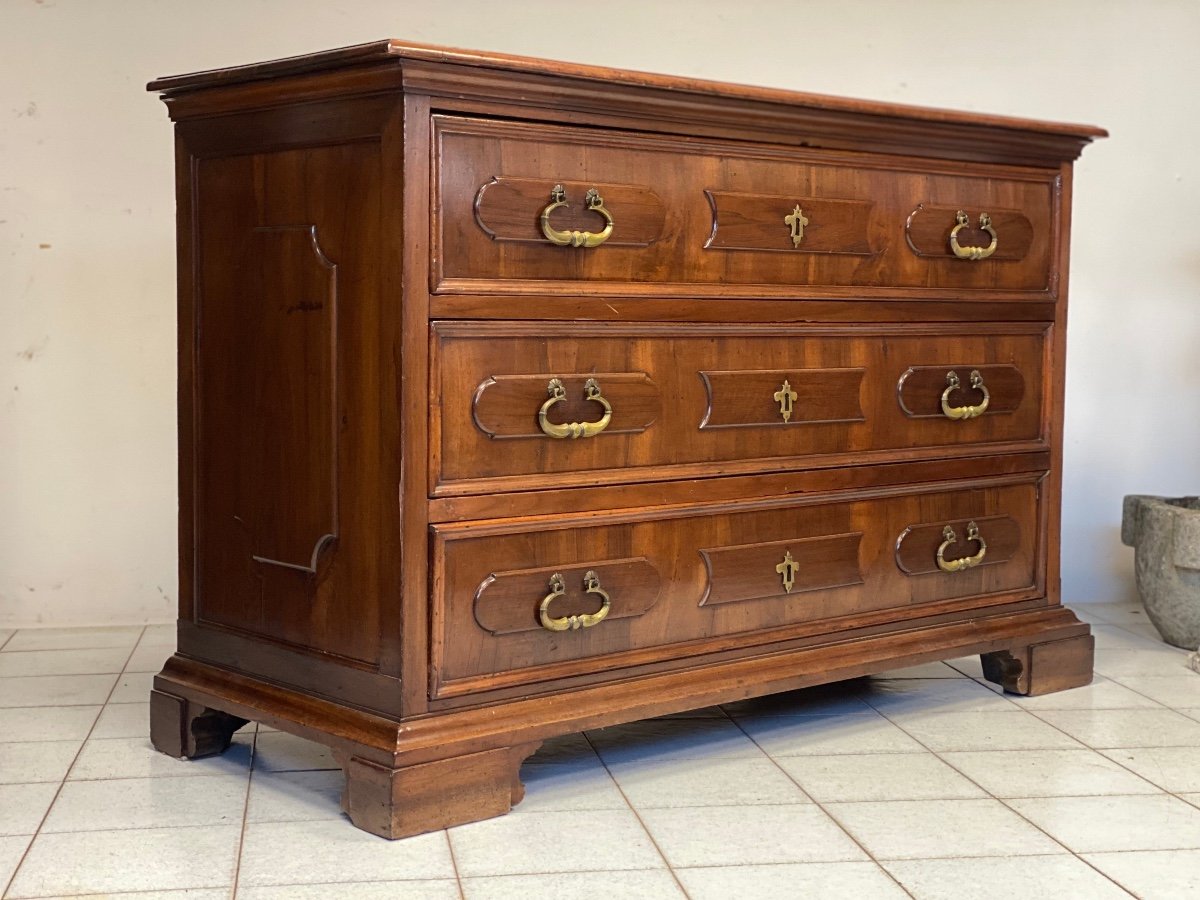 Louis XIV Walnut Chest Of Drawers. Modena Bologna 17th Century-photo-3