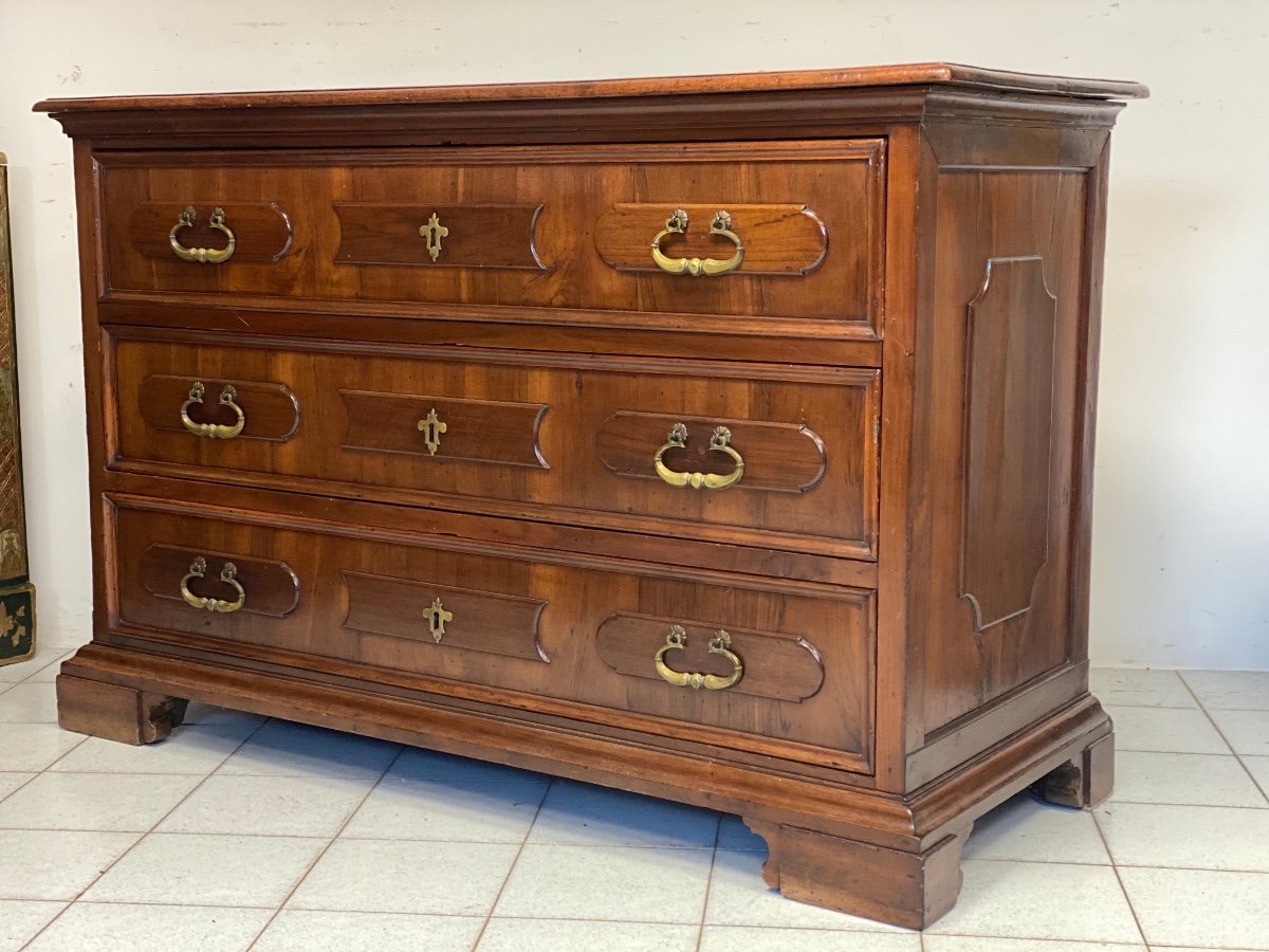 Louis XIV Walnut Chest Of Drawers. Modena Bologna 17th Century-photo-4