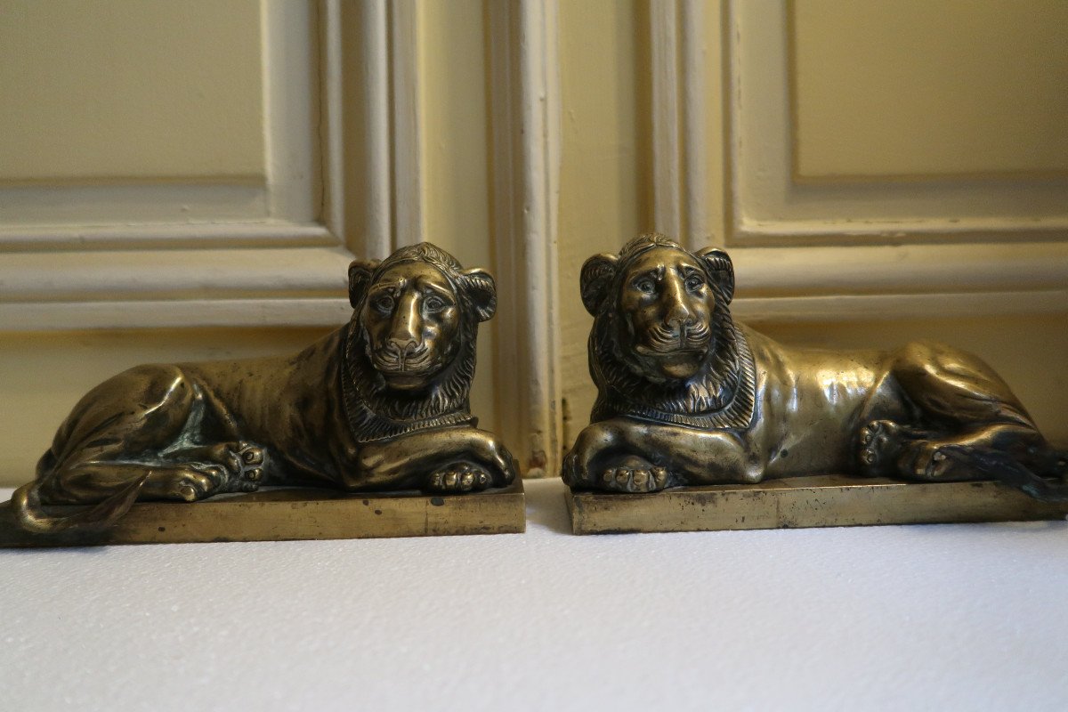 Pair Of Lions In Bronze XIX-photo-2