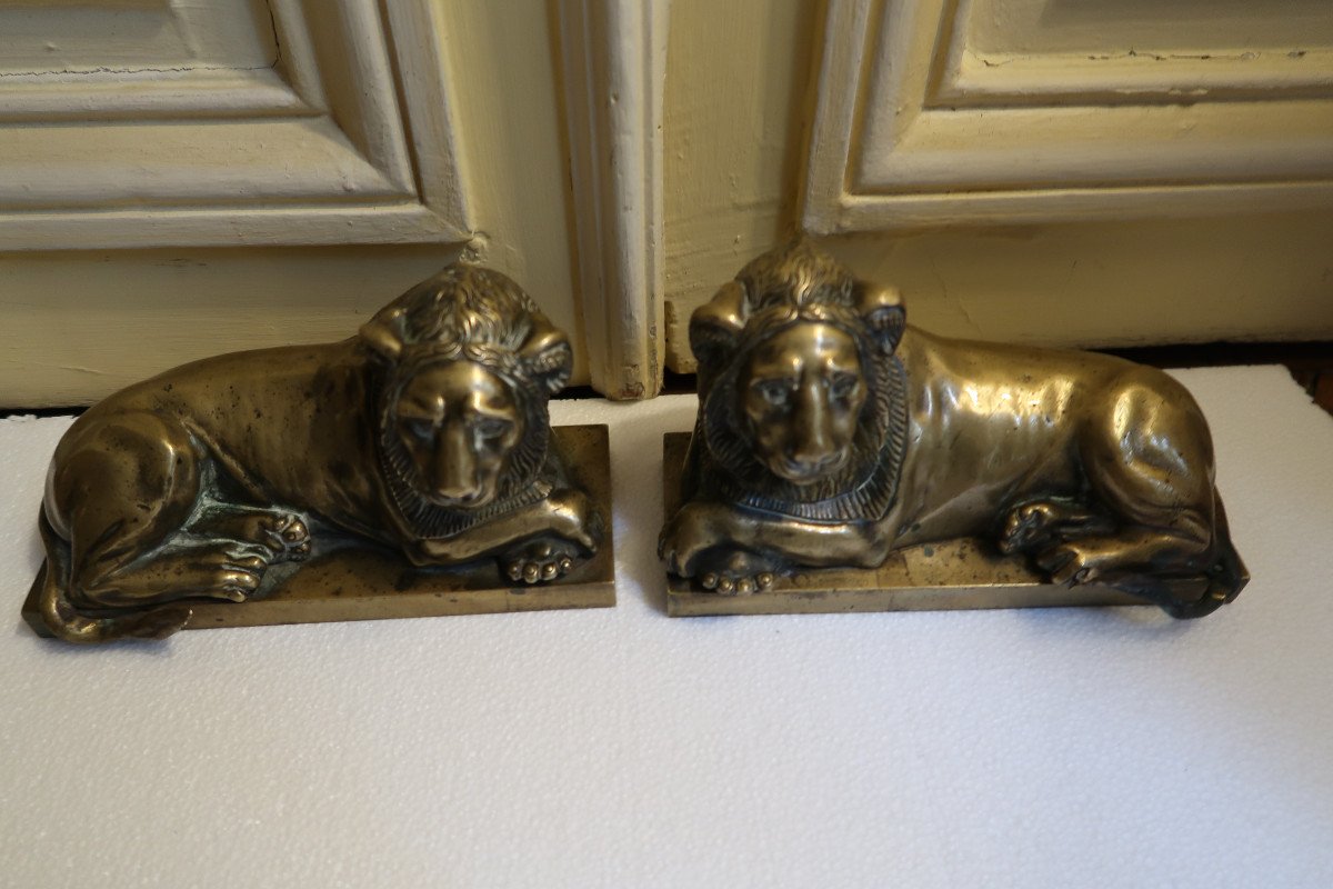 Pair Of Lions In Bronze XIX-photo-3