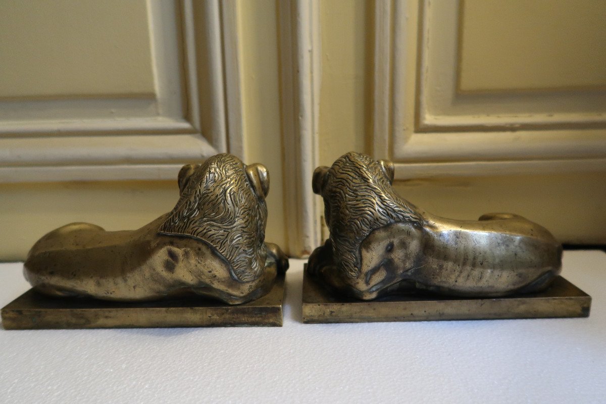 Pair Of Lions In Bronze XIX-photo-2