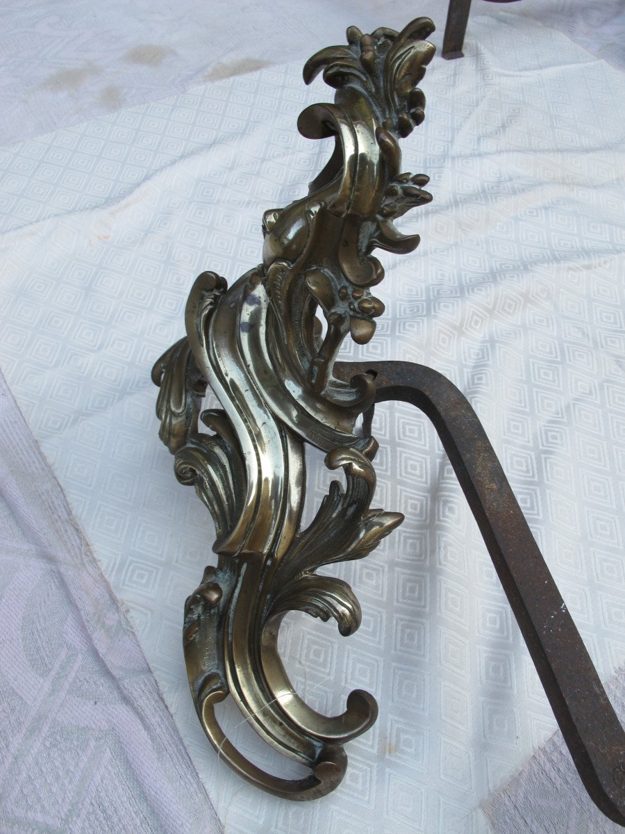 Pair Of Rococo Style Andirons -photo-4