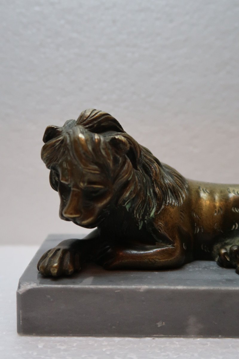 Pair Of Bronze Lions 19th Century-photo-4