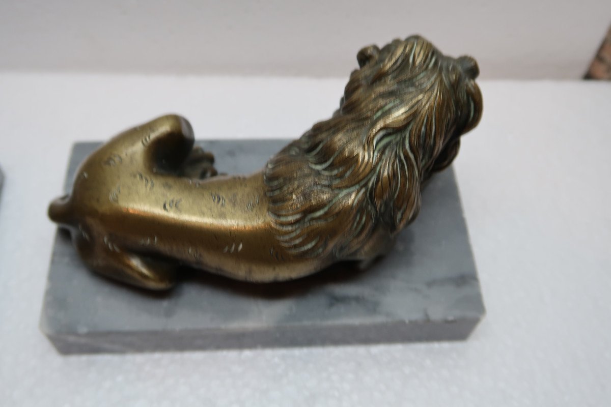 Pair Of Bronze Lions 19th Century-photo-5