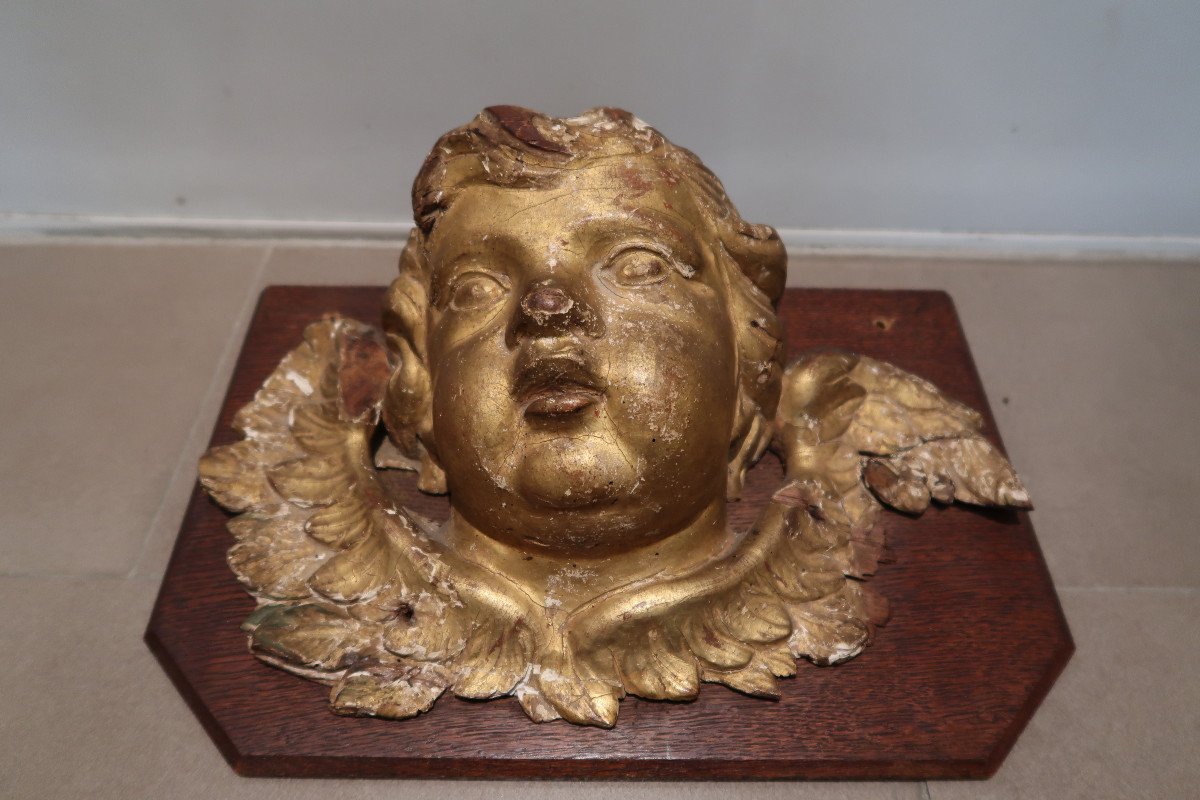 18th Century Gilded Wooden Angel Head-photo-4