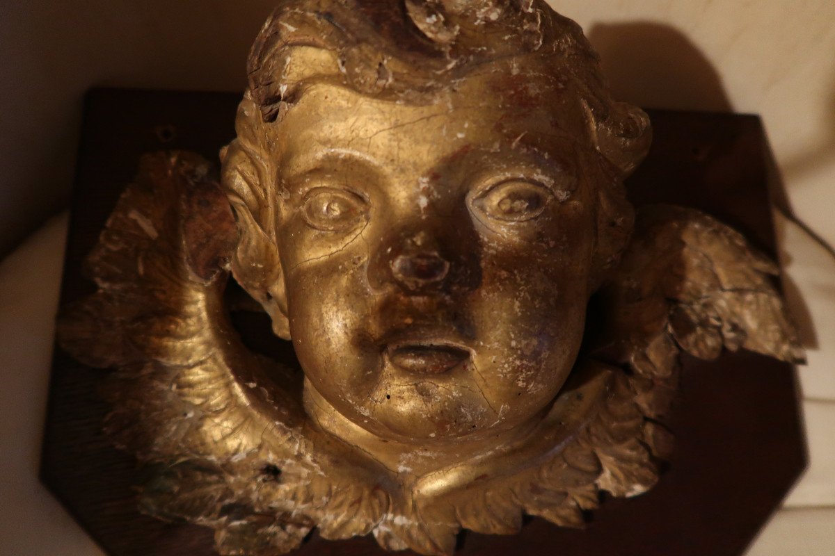 18th Century Gilded Wooden Angel Head-photo-5