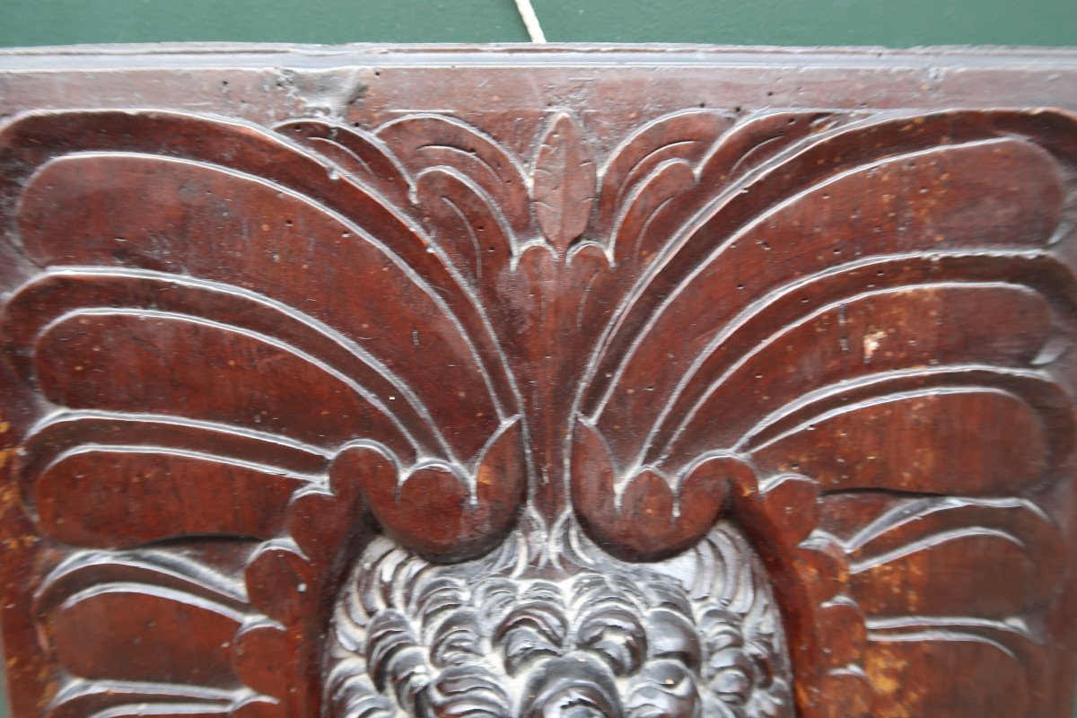 Walnut Panel XVII-photo-1