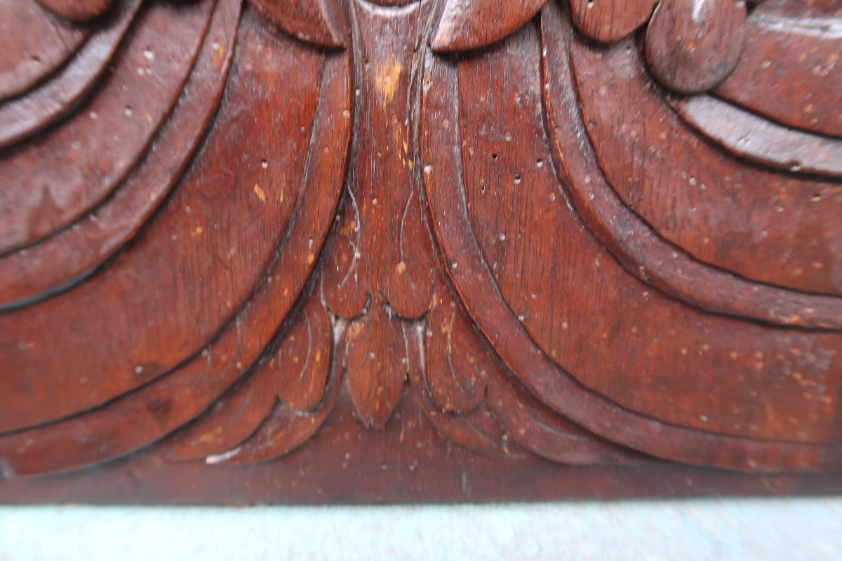 Walnut Panel XVII-photo-2