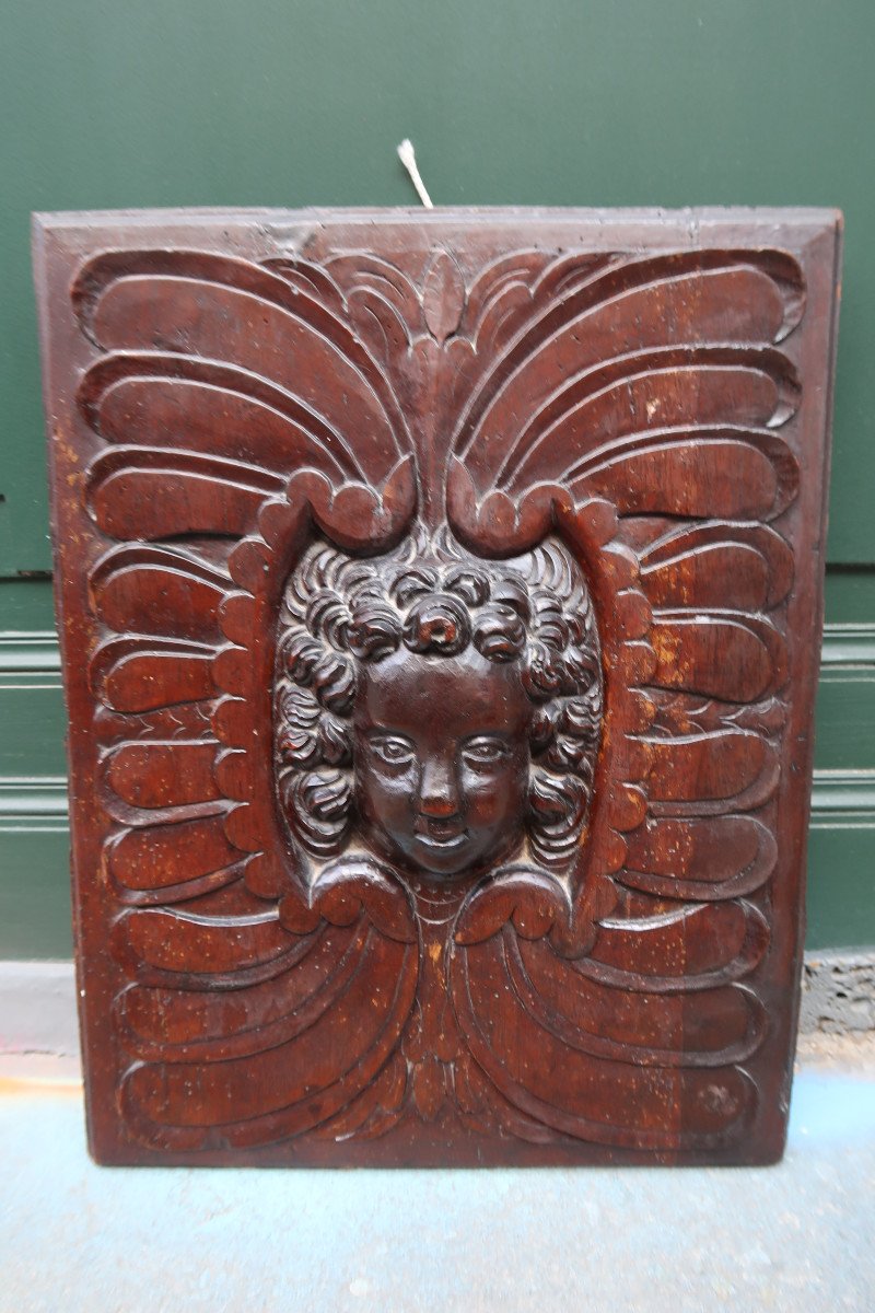 Walnut Panel XVII