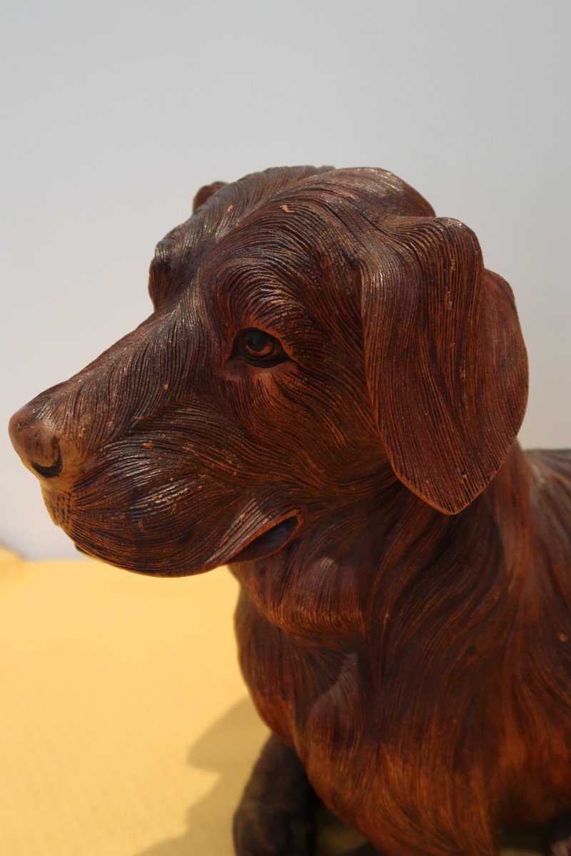 Chien  Années 1960-1970